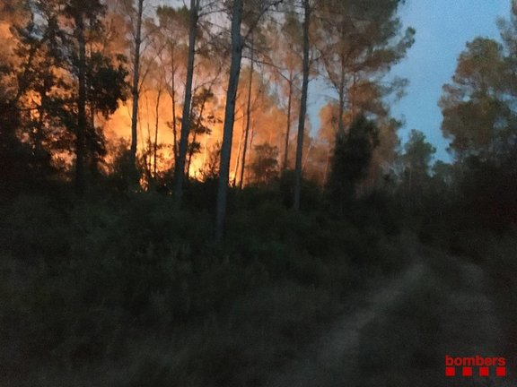 Imagen del incendio forestal en Ventalló (Girona)