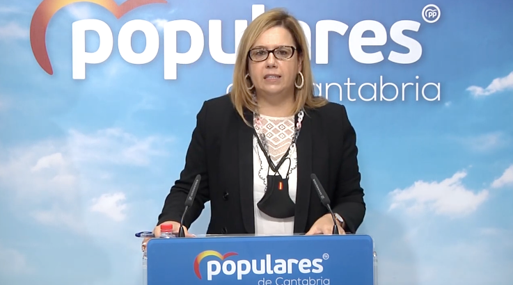 La diputada por Cantabria, Elena Castillo durante la rueda de prensa. / ALERTA