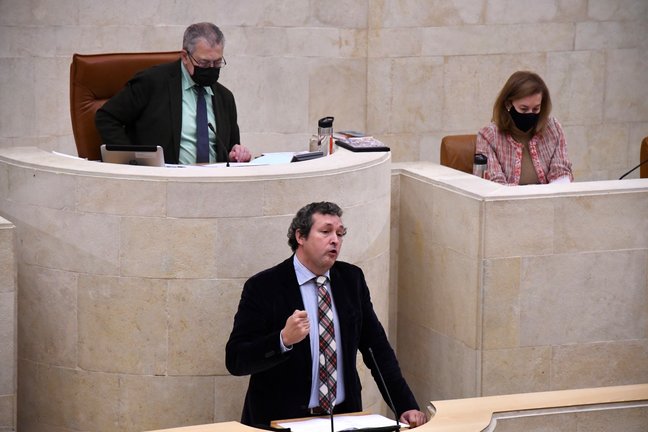 El portavoz del PP en Cantabria, Íñigo Fernández durante una sesión en el Parlamento. / ALERTA