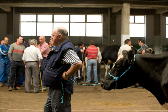 Varias personas en la feria de ganado de Torrelavega. / ALERTA
