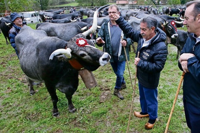 El presidente de Cantabria, Miguel Ángel Revilla, asiste a la tradicional feria ganadera de San Martín de Treceño
GOBIERNO DE CANTABRIA
(Foto de ARCHIVO)
11/11/2019