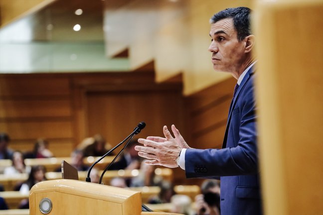 El presidente del Gobierno, Pedro Sánchez, comparece ante el Pleno del Senado. E.P. / Carlos Luján
