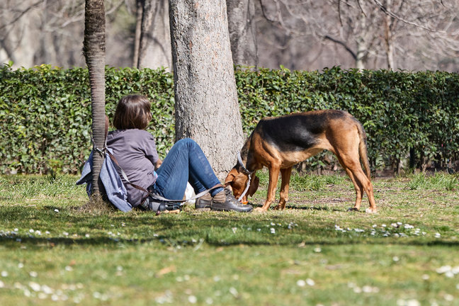 Una mujer junto a un perro en un parque. / Jesús Hellín