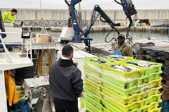 Una caja de verdeles en un barco pesquero en el puerto de Laredo (Cantabria). EFE / Miguel Ramos