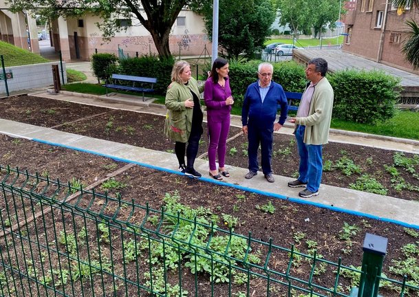 El Ayuntamiento habilita un nuevo espacio de huertos vecinales en Pronillo. / AS