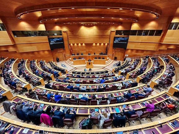 Vista general de una sesión plenaria en el Senado. EP / Carlos Luján