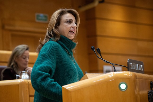 La diputada de Coalición Canaria, Cristina Valido, interviene durante el pleno del Congreso. EP / Alejandro Martínez Vélez