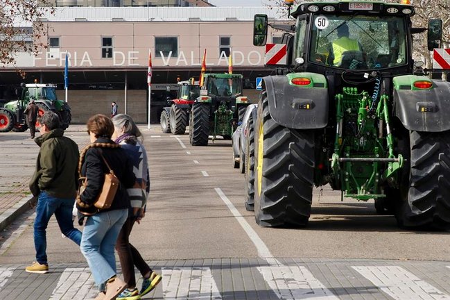 Los agricultores se manifiestan en una tractorada no convocada frente a consejería de Agricultura, este lunes en Valladolid. EFE / R.García