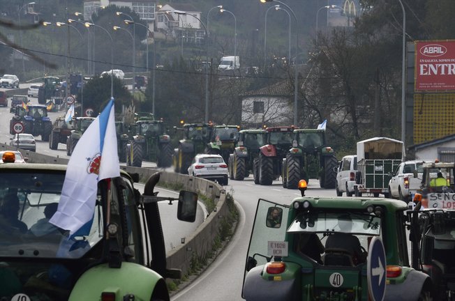 Varios tractores de agricultores llegan a Ourense durante una manifestación esta semana. EP / Rosa Veiga