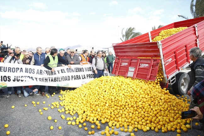 Agricultores y ganaderos sostienen pancartas frente a un centenar de limones en el suelo en una manifestación. EP / Joaquín Reina