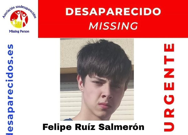 La comunidad de Santander se une en un esfuerzo colectivo, liderado por la Asociación SOS Desaparecidos, para localizar a Felipe Ruíz Salmerón, un joven de 15 años desaparecido desde el pasado domingo. / SOS DESAPARECIDOS