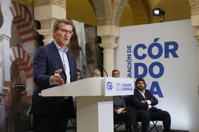 El presidente del PP, Alberto Núñez Feijóo, interviene durante la clausura el acto de presentación de la 'Declaración de Córdoba'. EP / Madero Cubero