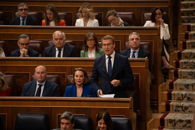 El presidente del PP, Alberto Núñez Feijóo, interviene durante una sesión de control al Gobierno. EP / Gabriel Luengas