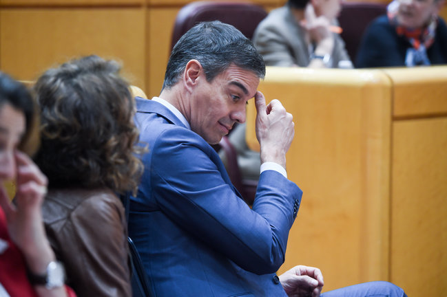 El presidente del Gobierno, Pedro Sánchez, durante una sesión de control al Gobierno, en el Senado. / Alerta