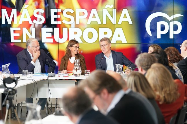 El líder del PP, Alberto Núñez Feijóo, asiste a una reunión del comité de campaña para las elecciones europeas. Le acompañan la vicesecretaria de Organización, Carmen Fúnez, y el vicesecretario de Institucional, Esteban González Pons, entre otros. / EP