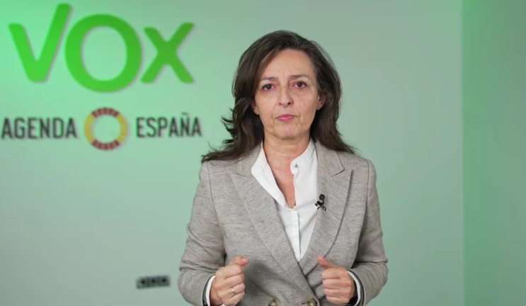 Vox ha anunciado su postura tras el anuncio de continuar de Pedro Sánchez. / Alerta