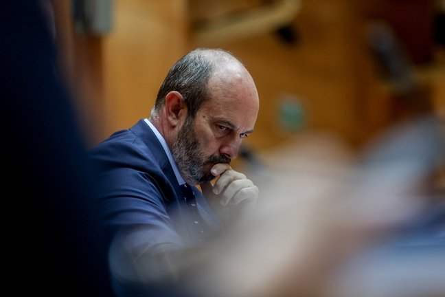 El presidente del Senado, Pedro Rollán, durante una sesión de control al Gobierno, en el Senado. Riccardo Rubio / EP