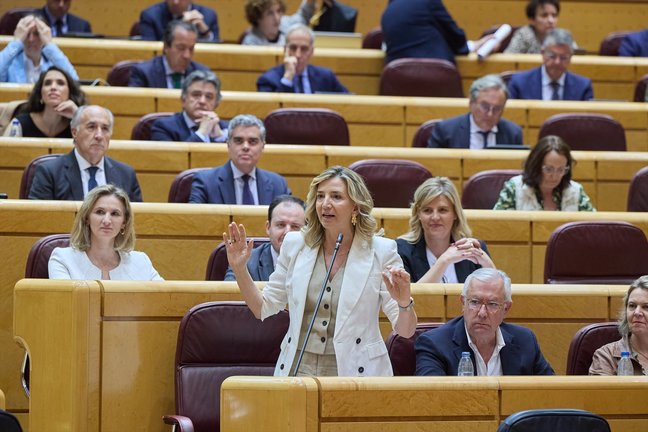 La portavoz del Partido Popular en el Senado, Alicia García Rodríguez, interviene durante una sesión de Control en el Senado. Jesús Hellín / Archivo