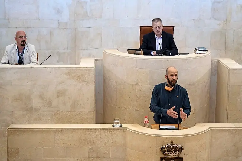 Reinhard Wallmann durante su intervenci&oacute;n en el Parlamento. / ALERTA
