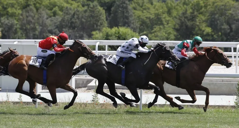 carreras al Hip&oacute;dromo de Madrid