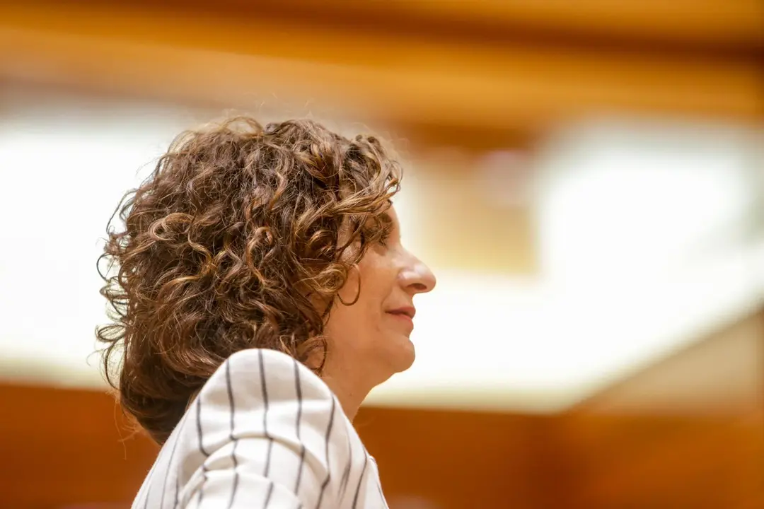 La Ministra de Hacienda y portavoz del Gobierno, Mar&iacute;a Jes&uacute;s Montero, durante el pleno en el Senado.