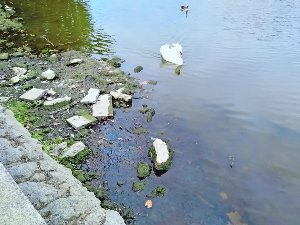 Estado actual del estanque de la Cant&aacute;brica. / alerta