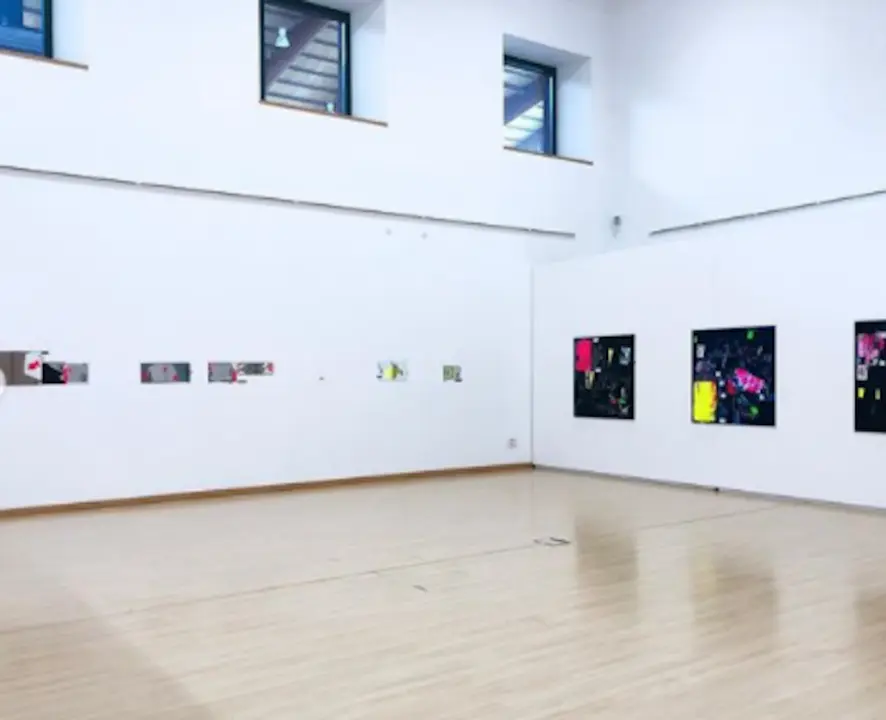La exposici&oacute;n de Las art&iacute;stas Marina Alonso y Rut Zabala en la sala &lsquo;Concepci&oacute;n Arenal&rsquo;. / ALERTA