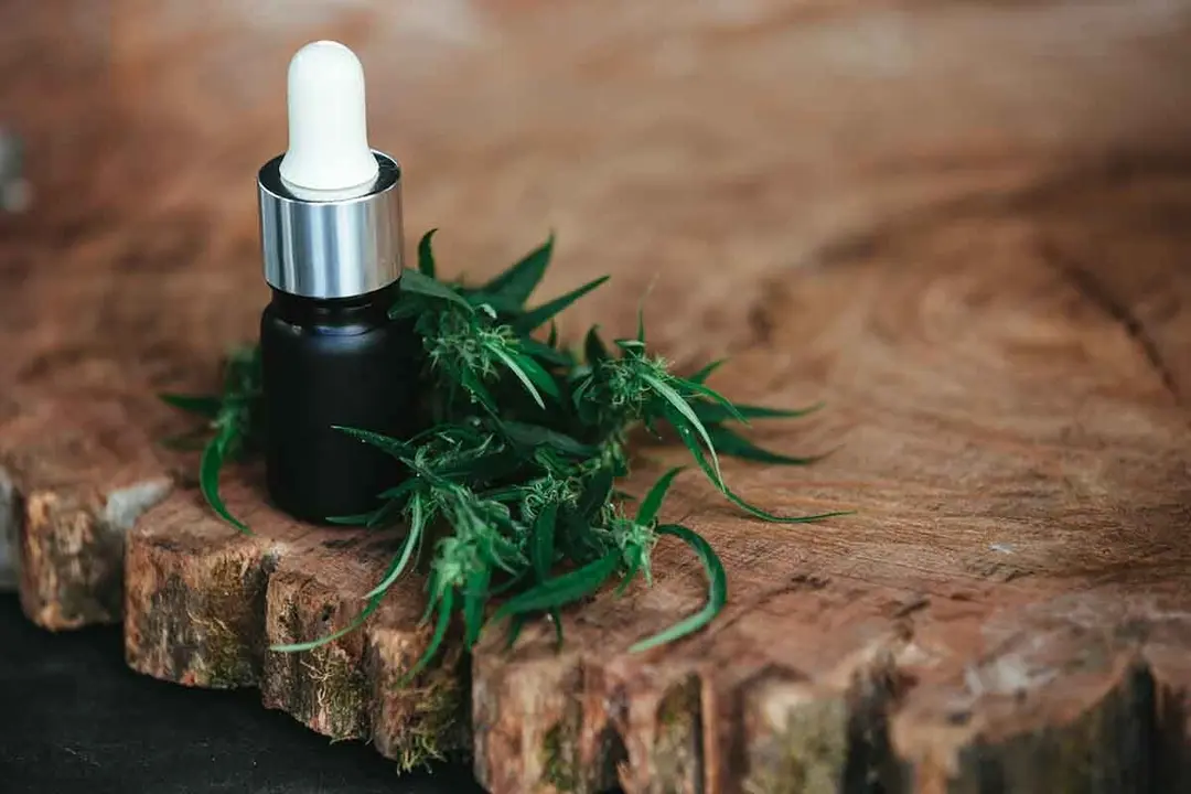 Semillas de cannabis: el ingrediente para una comida saludable