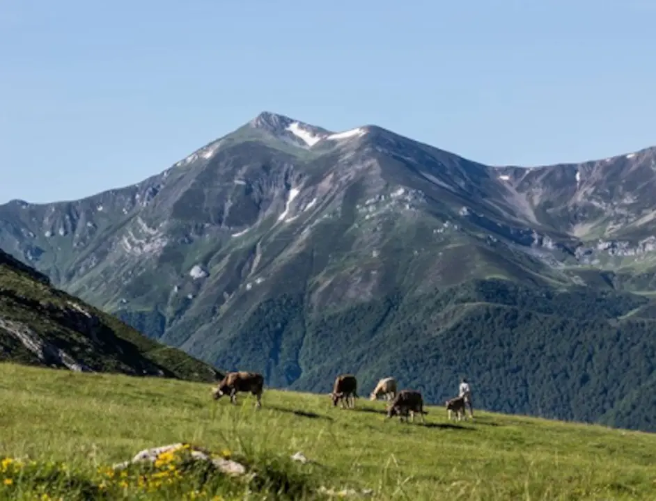 Monta&ntilde;as c&aacute;ntabras