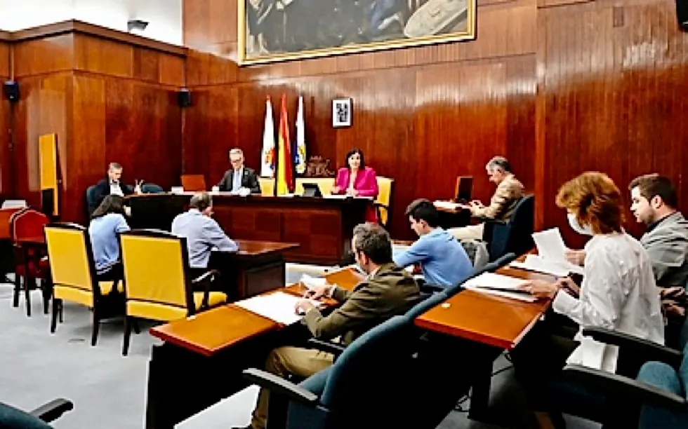Reuni&oacute;n de la Comisi&oacute;n de Econom&iacute;a. / ALERTA