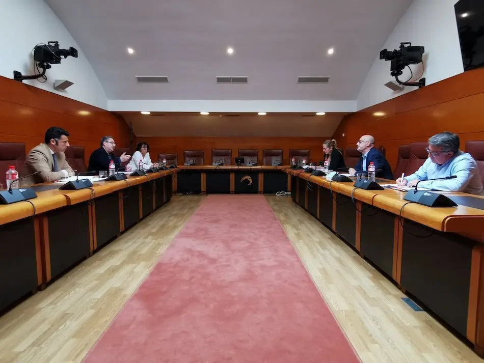 &Aacute;lvarez en la reuni&oacute;n con representantes del CERMI, y la diputada Marta Garc&iacute;a. / ALERTA