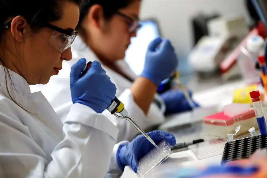 Los ensayos se realizar&aacute;n a 9.000 personas en los estados de Sao Paulo, el m&aacute;s azotado de Brasil por la pandemia, Rio Grande do Sul, Minas Gerais y Paran&aacute;, adem&aacute;s de en Brasilia, la capital del pa&iacute;s. EFE/Sebastiao Moreira/Archivo