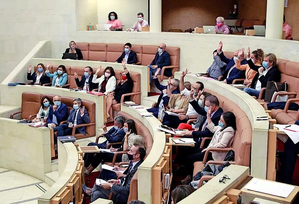 Los diputados del Parlamento durante una votaci&oacute;n. / jos&eacute; ram&oacute;n