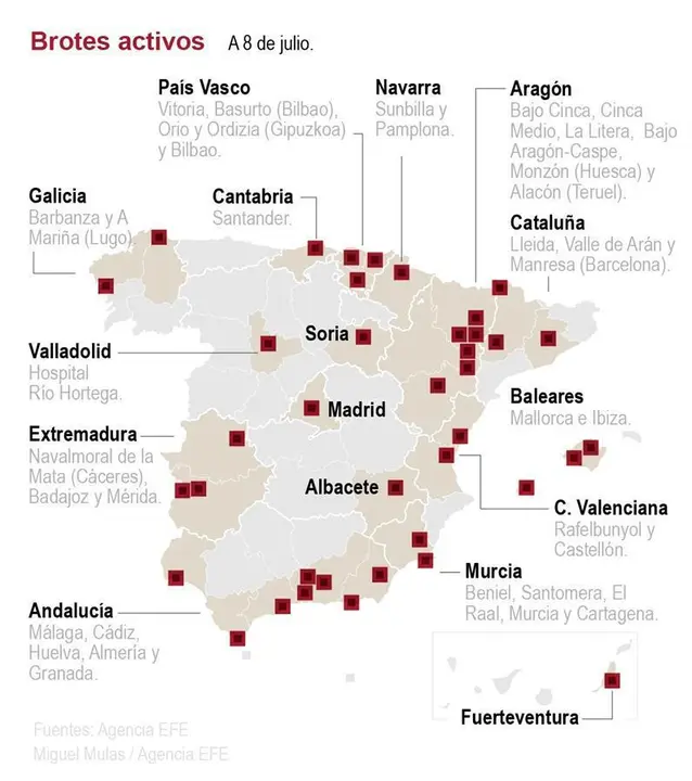 brotes espa&ntilde;a
