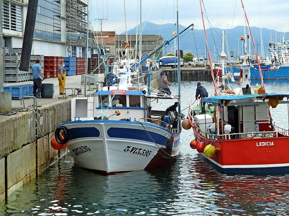 Otras dos embarcaciones gallegas con siete tripulantes que han desembarcado en el puerto de Santo&ntilde;a est&aacute;n en seguimiento por parte de las autoridades sanitarias de Cantabria despu&eacute;s de que un marinero de Burela (Lugo) haya dado positivo por coronavirus. tripulantes han explicado a Efe que las autoridades sanitarias les han trasladado que no pueden abandonar esos barcos, aunque s&iacute; han obtenido permiso para desembarcar bonito. Tambi&eacute;n les han dicho que hacia las 13.00 horas les har&aacute;n las pruebas para detectar si se han contagiado. EFE/ Miguel Ramos