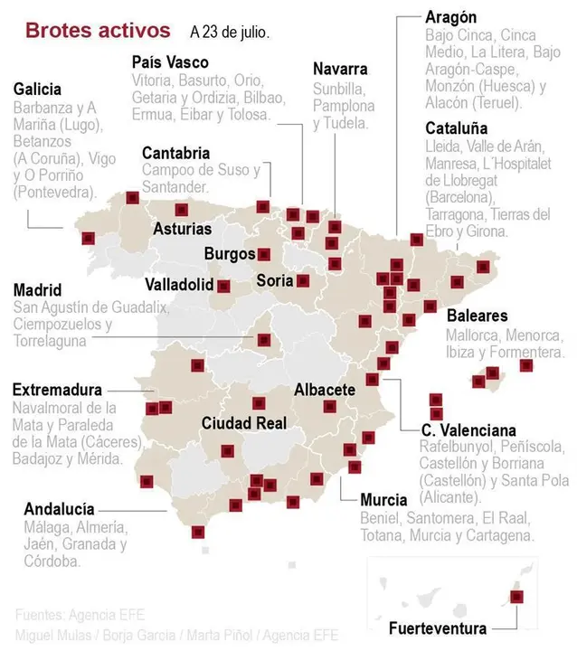 brotes activos