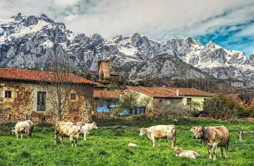 El enclave de Mogrovejo, en Camale&ntilde;o.