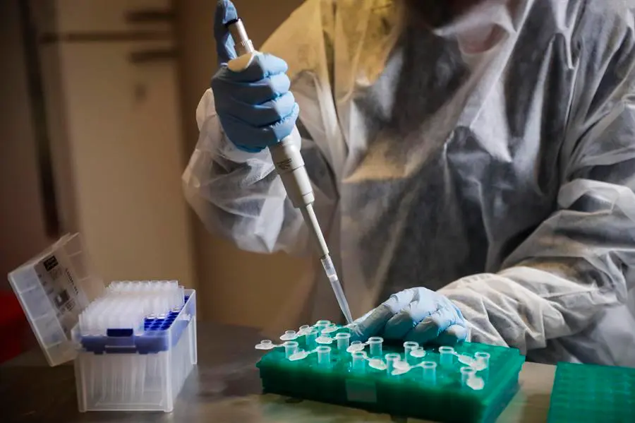 Seg&uacute;n el estudio de prevalencia del Ministerio de Sanidad publicado en junio de este a&ntilde;o, cerca del 6 % de la poblaci&oacute;n espa&ntilde;ola tiene aparentemente inmunidad, lo que ha supuesto m&aacute;s de 40.000 muertos. EFE/Federico Anfitti/Archivo