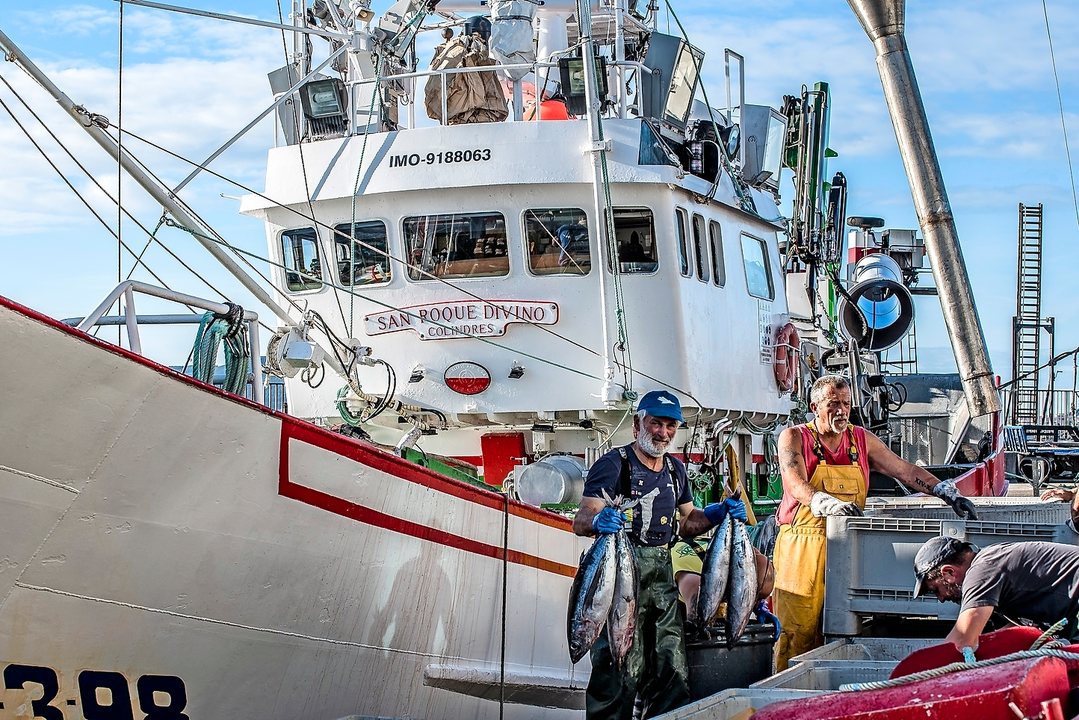 Pescadores de bonito en el puerto de Laredo. / To&ntilde;o Reguera