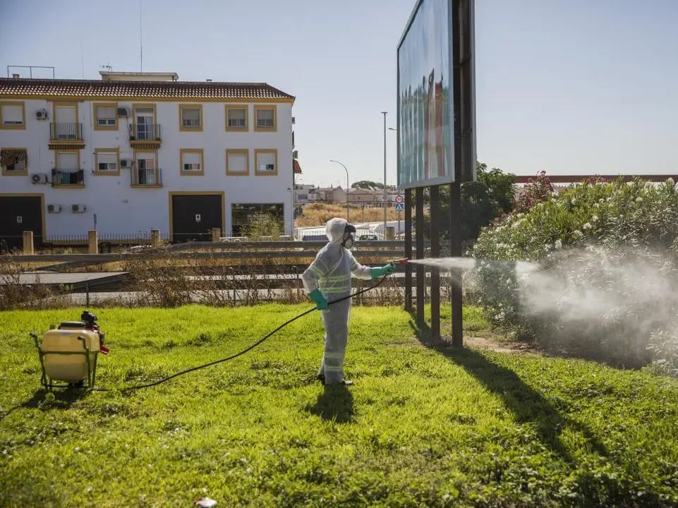 Un operario fumiga unos jardines en Cor&iacute;a del R&iacute;o en un intento del Ayuntamiento por detener al virus del Nilo. EFE/Jos&eacute; Manuel Vidal/Archivo