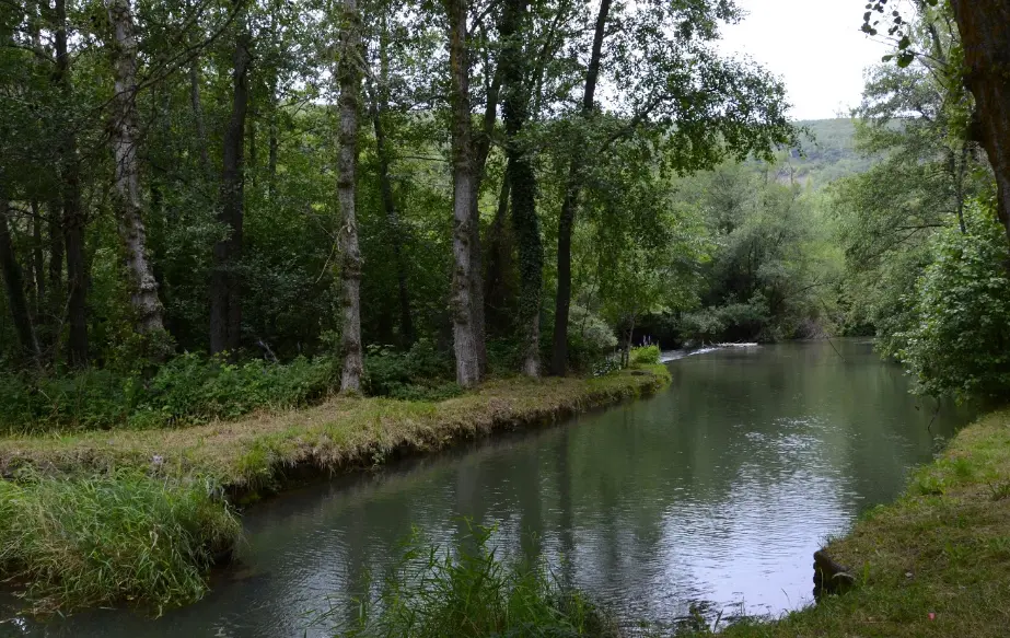 El r&iacute;o Ebro a su paso por la localidad de Aldea de Ebro.