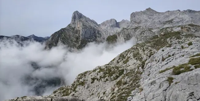 Fue rescatado este martes por el helic&oacute;ptero del Gobierno de Cantabria en la zona del collado Santa Ana.