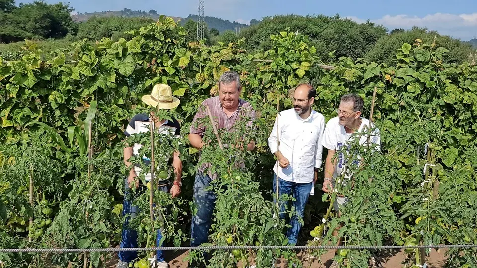 El concejal Urraca visitando los huertos. / alerta