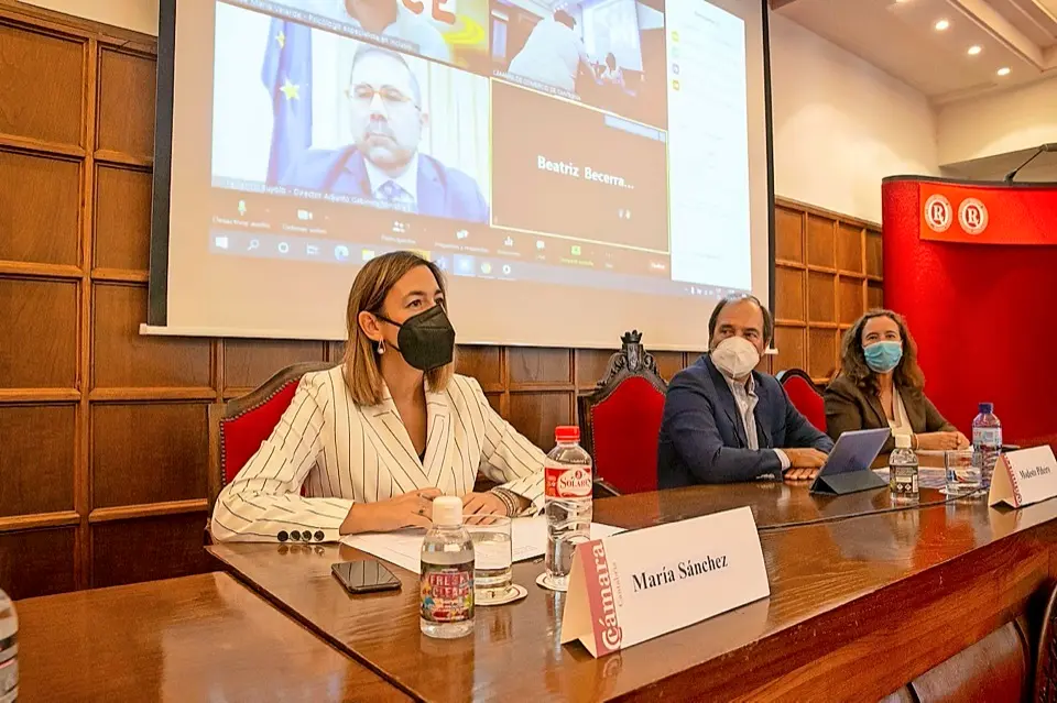 La consejera Mar&iacute;a S&aacute;nchez durante su intervenci&oacute;n ayer en la C&aacute;mara de Comercio. / alerta
