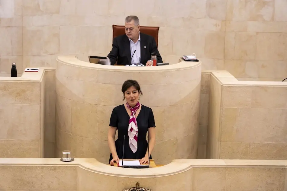 La Directora general de Salud P&uacute;blica, Paloma Navas en el Parlamento de Cantabria.