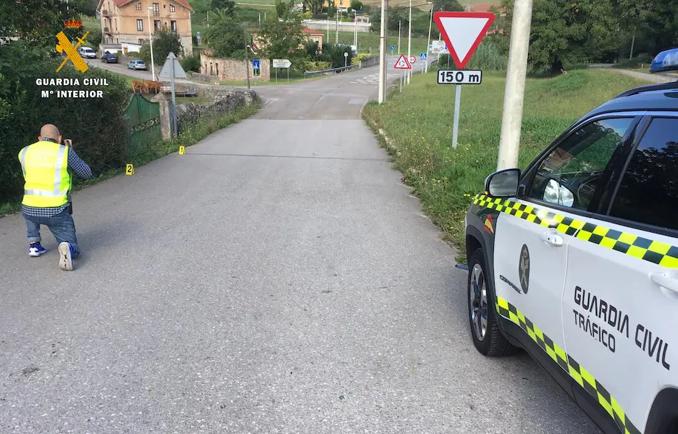 La Guardia Civil en el lugar del atropello. / OPC