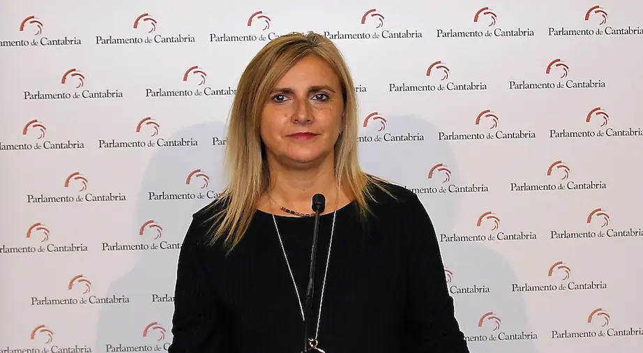 La n&uacute;mero 2 del PSOE de Cantabria y portavoz en el Parlamento, Noelia Cobo. / ALERTA