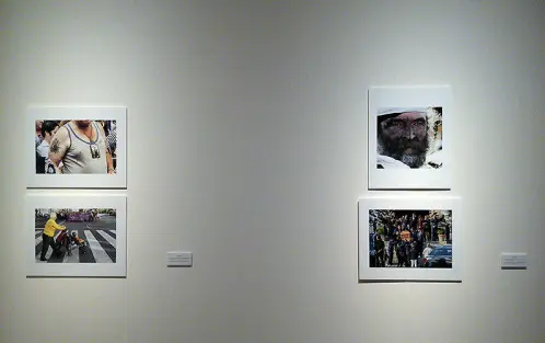 Exposici&oacute;n del proyecto 20/20.