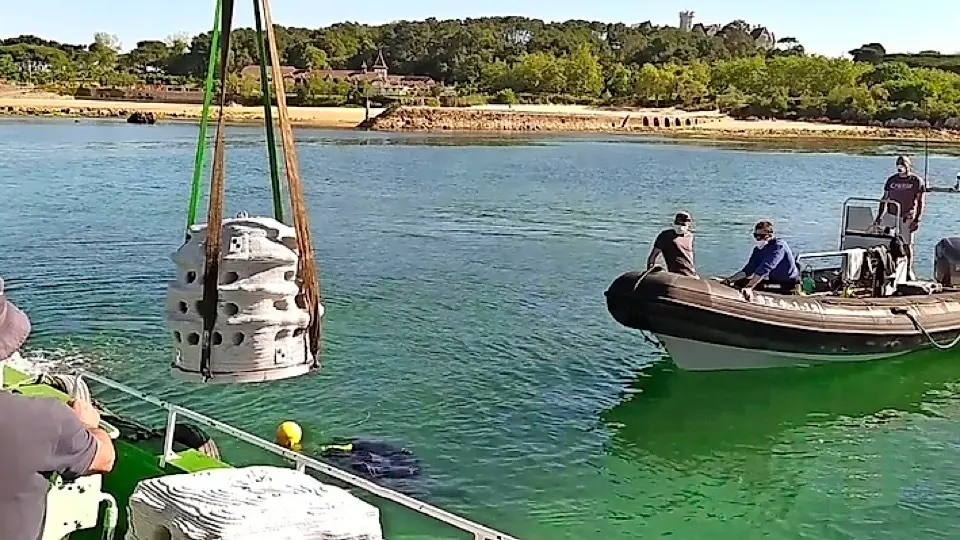 Labores de instalaci&oacute;n de un arrecife artificial en la Bah&iacute;a de Santander. / UC
