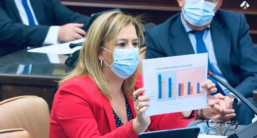 La diputada del PP por Cantabria, Elena Castillo. / ALERTA